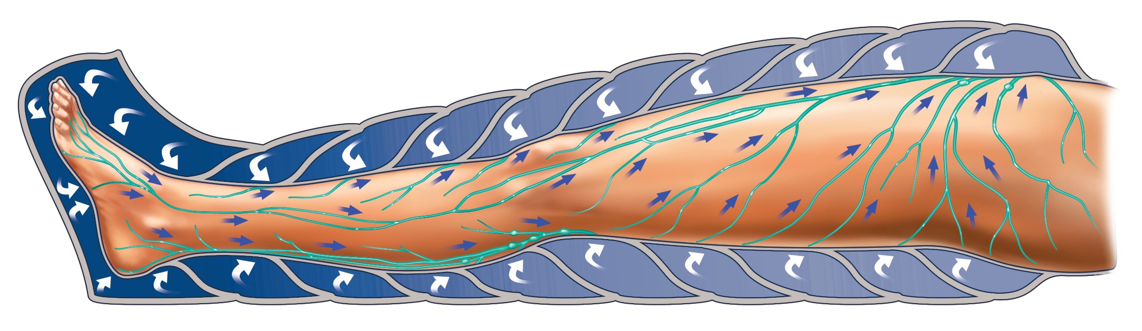 Bein für BTL 6000 Lymphastim 12 Easy und 12 Topline