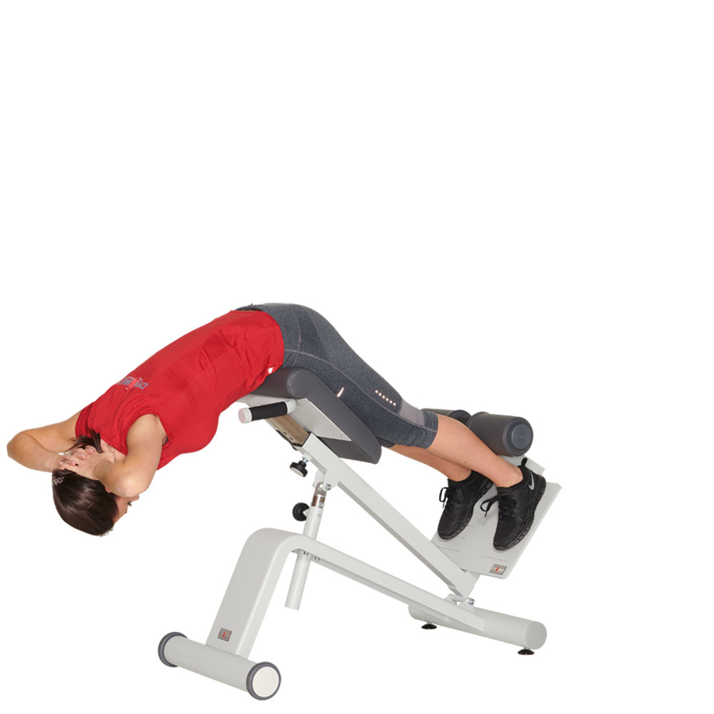 Dynamed Lateral-/Lumbal-Trainer 02