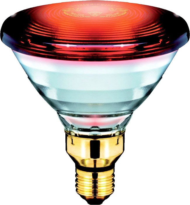 Rotlichtersatzlampe - 150 Watt