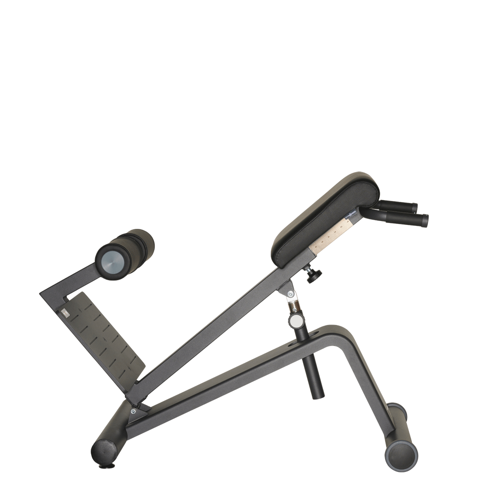 Lateral-Lumbal-Trainer_06 Dynamed Lateral-/Lumbal-Trainer black edition 01