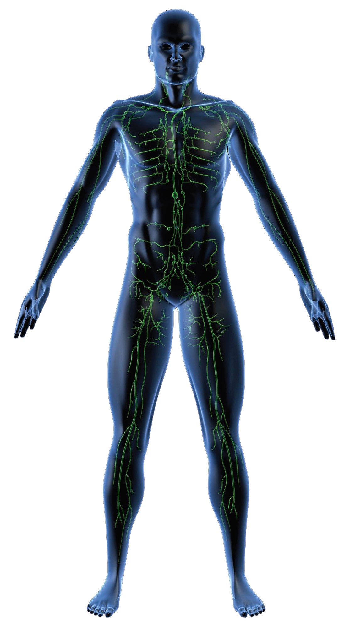 E258-1 Lymphdrainagegerät BTL 6000 Easy