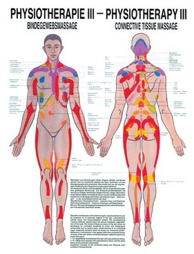 Anatomische Lehrtafel - Physiotherapie III, Bindegewebsmassage